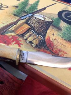 1987 Case xx Pheasant Small Game Skinner w/ Stag Handles (523-31 1/4 SSP) +Orig Sheath in orig box