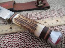 J. A Henckels  Stag Handle Fixed Blade Model # HK -500