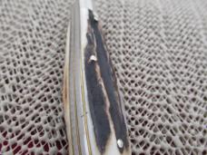 Robt Klass Kissing Krane  1980 Old Dominion Club Knife 1 of 250
