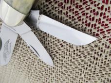 Parker Cut Co. Stag 5 Blade Sowbelly Model # M-105
