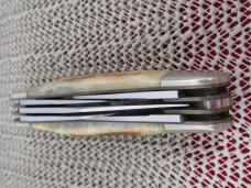 Parker Cut Co. Stag 5 Blade Sowbelly Model # M-105
