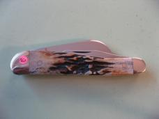   DANIELS FAMILY KNIFE BRANDS-TITUSVILLE CUTLERY-ROOSTER COMB-BURNT STAG #3