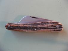   DANIELS FAMILY KNIFE BRANDS-TITUSVILLE CUTLERY-ROOSTER COMB-BURNT STAG SHADOW #1