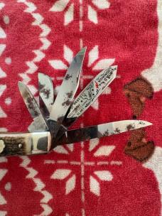 1998 Bulldog beast 5 blade trapper in stag