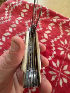 1998 Bulldog beast 5 blade trapper in stag