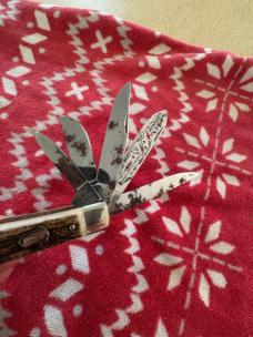 1998 Bulldog beast 5 blade trapper in stag