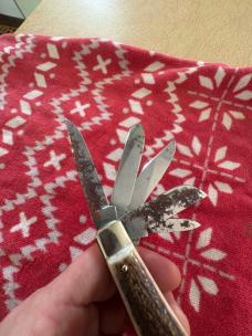 1998 Bulldog beast 5 blade trapper in stag