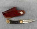 Buck 110 Lockback – Rosewood & Brass – 2010 with Brown Leather Sheath