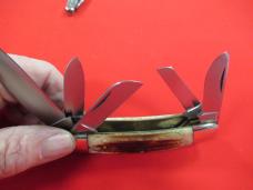 Parker Cut Co. Stag 5 Blade Sowbelly Model # M-105