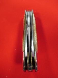Parker Cut Co. Stag 5 Blade Sowbelly Model # M-105
