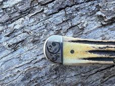 CASE XX 2007 SFO STAG TX SHIELD SCROLLED & NUMBERED TRAPPER
