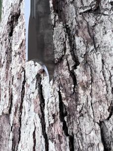 BENINI-FACAS CUSTOM CPM 154 BLADE STEEL STAG ONE ARM MAN SLIPJOINT FOLDER **VERY NICE BUILD**