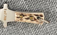 United Italy – Miniature Bowie Fixed Blade – Stag – NKCA Youth PROTOTYPE