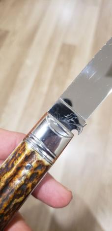 5 1/2 " Big Custom Made Bird's Head Bolster Knife, Premium Stag handle 