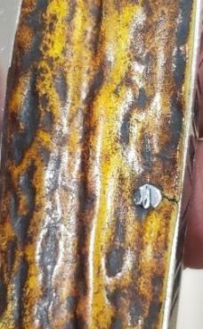 5 1/2 " Big Custom Made Bird's Head Bolster Knife, Premium Stag handle 