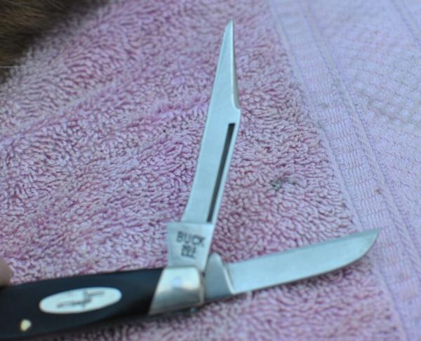 Buck USA Cadet 303 74-85 Saw Cut Valox Factory Tight And Snap Used Pre Date Code Buck USA Cadet 303 74-85 Saw Cut Valox Factory Tight And Snap Used Pre Date Code