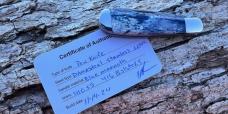 JEFF PEARCE CUSTOM BLUE MAMMOTH IVORY DAMASTEEL BLADE PEN KNIFE
