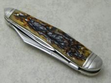Schatt & Morgan New York 2008 Bone 043081 Premier Lockback Whittler Knife