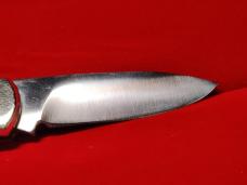LITTLE GRIZZLY Parker Cut Co. 
