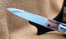 7 Inch Transitional Wasp Body