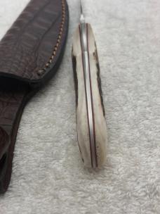Boker Tree Brand Classic Stag Handle Fixed Blade Knife Quality Made In Argentina