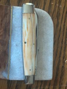 Case Classic Zebra Bone Large Moose 62075 Prototype RARE 