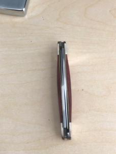 Bear MGC Muskrat