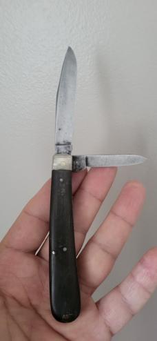 3 1/2" Rare J. Fenton & sons Two Blade Jack Knife, Sheffield England, Buffalo Horn Handles