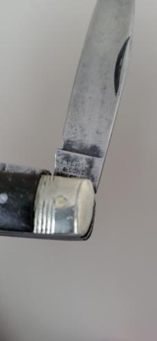 3 1/2" Rare J. Fenton & sons Two Blade Jack Knife, Sheffield England, Buffalo Horn Handles