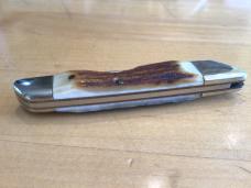 Bear Creek Taylor Cutlery Kingsport, TN 1979 SHARK Stag 