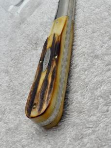 Case XX 1971 1 Dot Stag Handle 5143SSP 1 Blade Founders Knife  (#5)