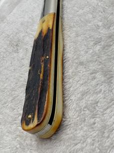 Case XX 1971 1 Dot Stag Handle 5143SSP 1 Blade Founders Knife  (#5)