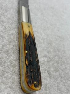 Case XX 1971 1 Dot Stag Handle 5143SSP 1 Blade Founders Knife  (#5)