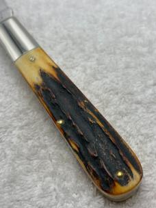 Case XX 1971 1 Dot Stag Handle 5143SSP 1 Blade Founders Knife  (#5)
