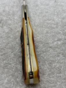 Case XX 1971 1 Dot Stag Handle 5143SSP 1 Blade Founders Knife  (#5)
