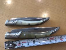 Spanish Falcon Stainless Blonde Horn Large / Small Pair