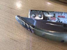 Spanish Falcon Stainless Blonde Horn Large / Small Pair