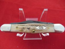 Case XX 2010 Vintage Stag with PVD coated Blades Split Back Whittler Pattern #V5383