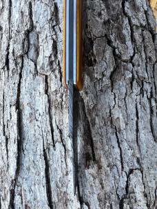 JEFF PEARCE CUSTOM BUTTERSCOTCH MICARTA BILL POOR DAMASCUS TRAPPER