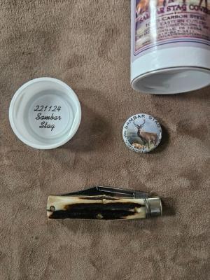 Gec 22 Sambar Stag