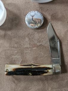Gec 22 Sambar Stag 