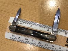 Bulldog Brand Germany Mini Senator Buffalo Horn