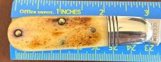 Great Eastern Cutlery Tidioute #252117 Little Jack Knife, Pioneer Bone Scale , (GEC 25) 