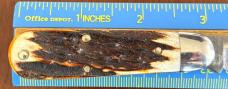 Rare Northwoods Bullet Jack Folding Knife, Beautiful Stag, Unused 