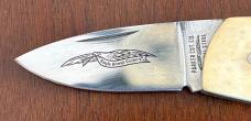 Vintage Parker Belt Buckle Folding Knife, Bone Scale, Japan, Unused