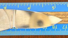 Vintage Parker Belt Buckle Folding Knife, Bone Scale, Japan, Unused