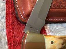 1981 Case xx Shark Tooth Folding Hunter w/ Sweet Stag Handles (P197 L SSP) +Orig Sheath