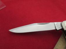Case XX Classic 1993 Split Back Whittler Celluloid  Pattern #73083