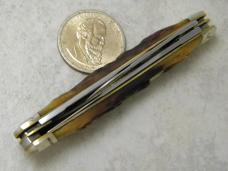 Colt CT 210 Bone Medium Stockman Knife in Box