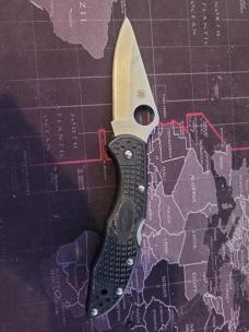 Spyderco Delica(Black, VG10)